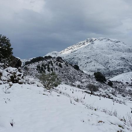 Finca Las Morenas Yunquera Εξωτερικό φωτογραφία