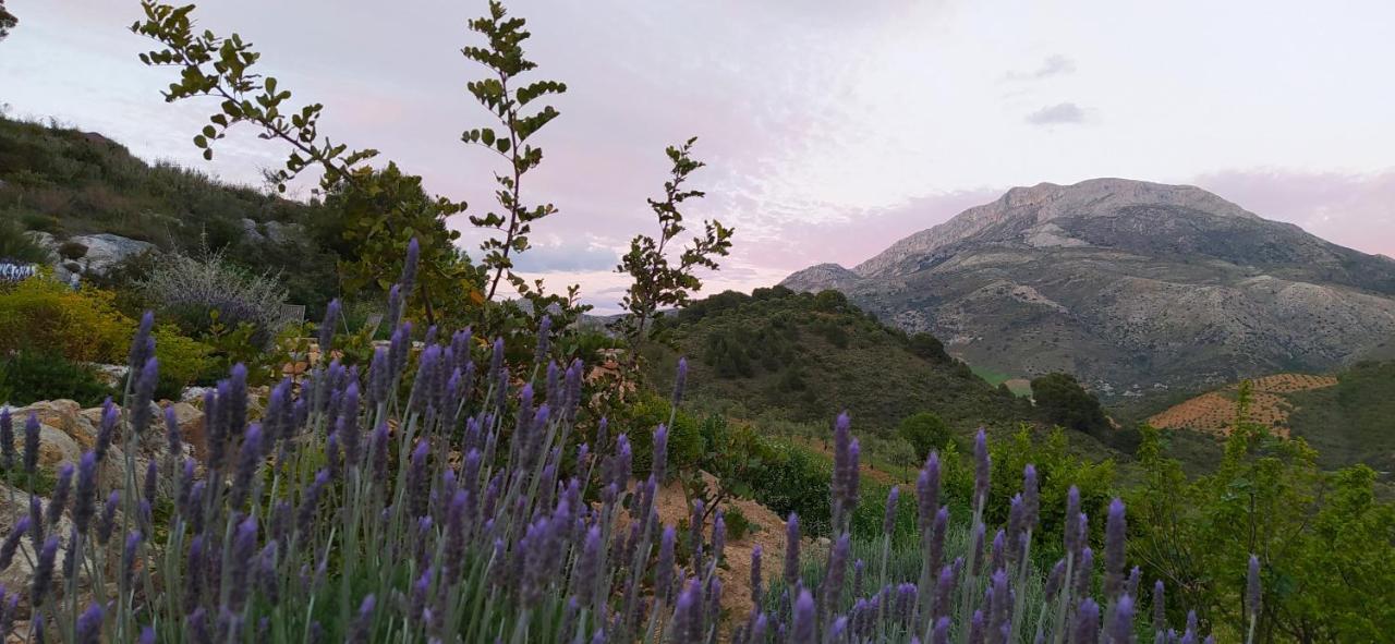 Finca Las Morenas Yunquera Εξωτερικό φωτογραφία