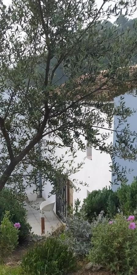 Finca Las Morenas Yunquera Εξωτερικό φωτογραφία