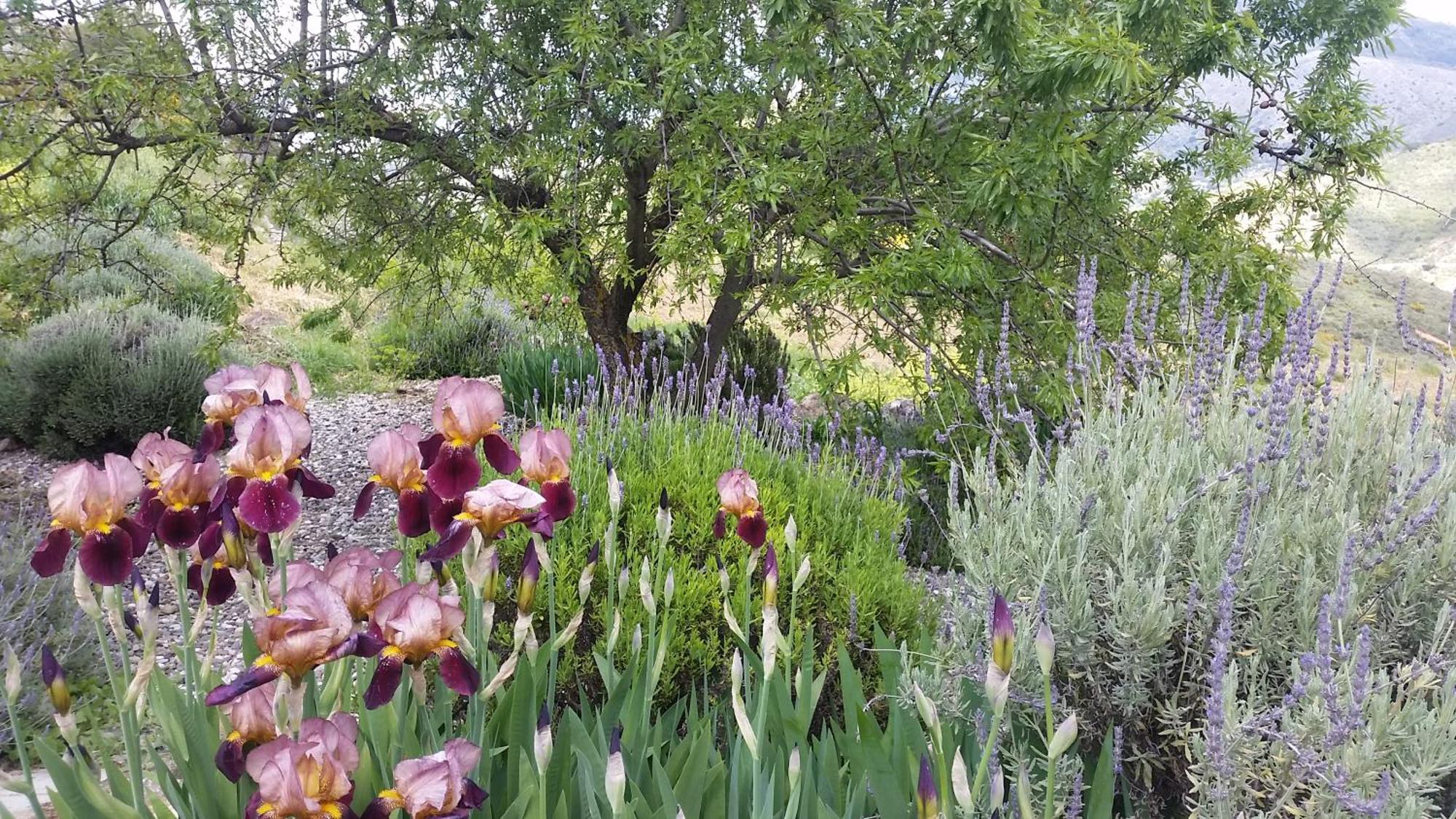 Finca Las Morenas Yunquera Εξωτερικό φωτογραφία