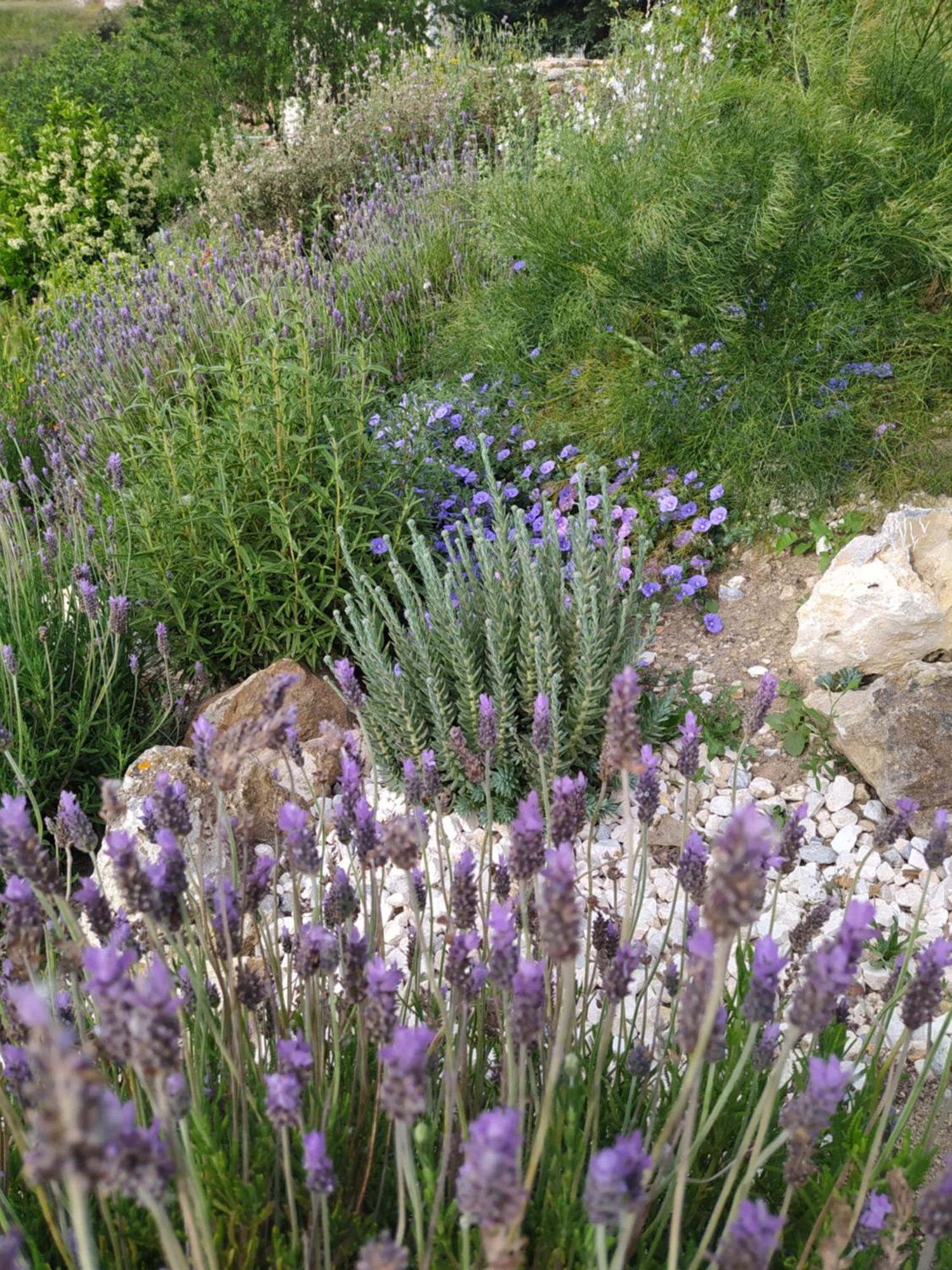 Finca Las Morenas Yunquera Εξωτερικό φωτογραφία